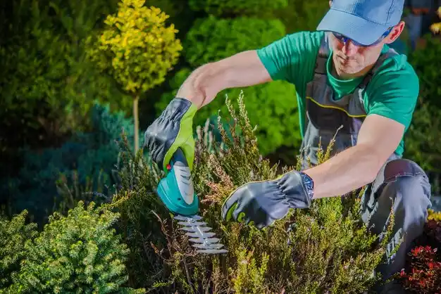 landscaping services Columbus